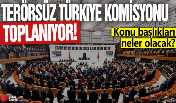 Milli Dayanışma, Kardeşlik Ve Demokrasi Komisyonu Başkanlığına görüşlerimizi iletebilmek için talepte bulunduk